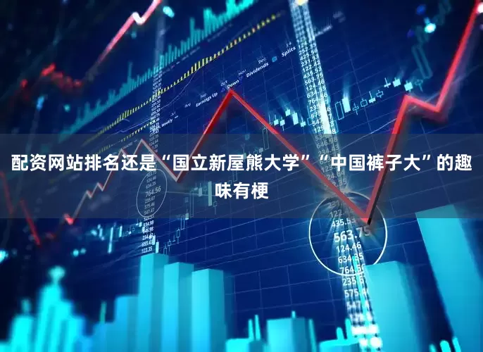 配资网站排名还是“国立新屋熊大学”“中国裤子大”的趣味有梗