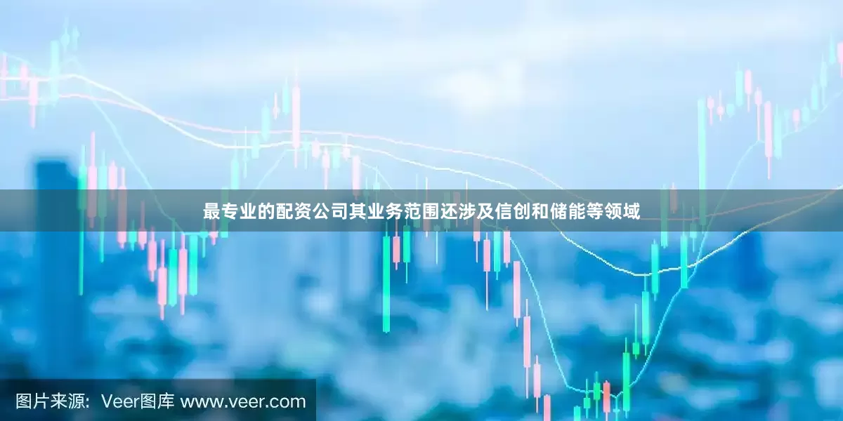 最专业的配资公司其业务范围还涉及信创和储能等领域