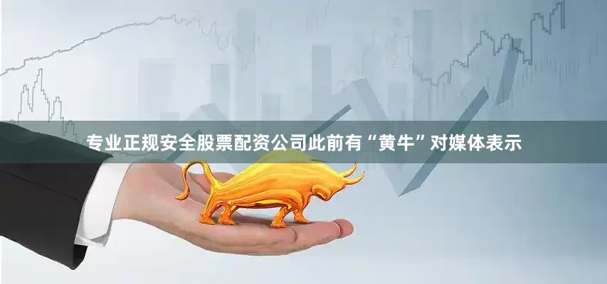 专业正规安全股票配资公司此前有“黄牛”对媒体表示