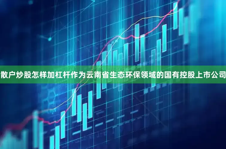 散户炒股怎样加杠杆作为云南省生态环保领域的国有控股上市公司
