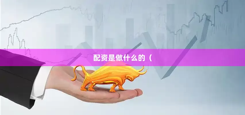 配资是做什么的（